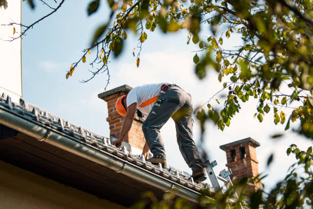 Fast & Reliable Emergency Roof Repairs in Ridgway, CO