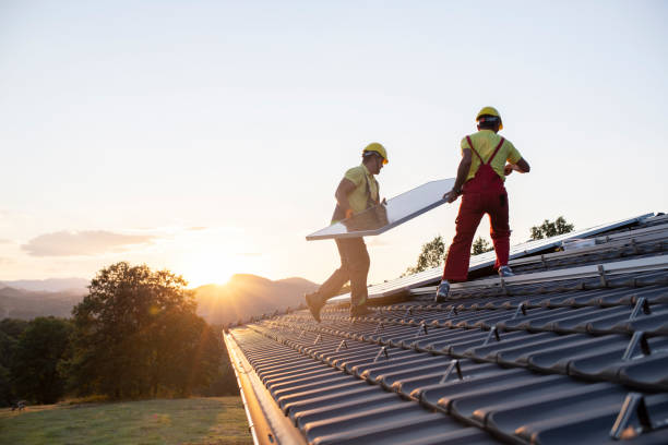 Best Roof Coating and Sealing  in Ridgway, CO