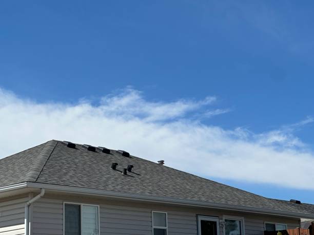 Trusted Ridgway, CO Roofing service Experts